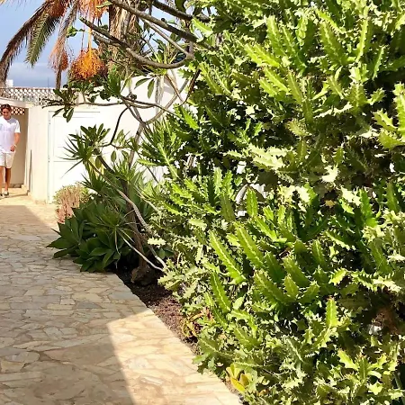 Turquesa 3 Fuerteventura 科拉雷侯