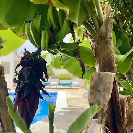 Turquesa 3 Fuerteventura 别墅 *