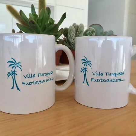 Turquesa 3 Fuerteventura 科拉雷侯