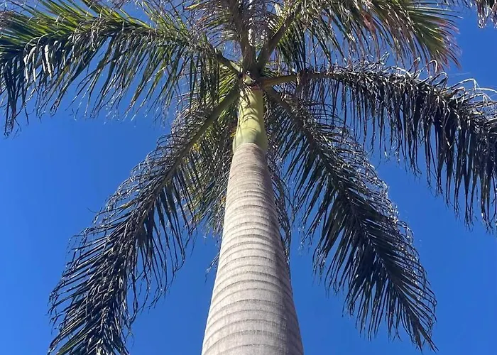 Vila Turquesa 3 Fuerteventura