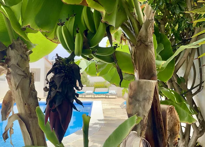 Turquesa 3 Fuerteventura Vila *